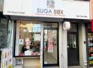 55A Bayard St 格林威治村 New York (Manhattan), NY