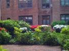 2 Town House Place #1J 大颈 Great Neck, NY