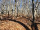 Woodhull Landing 东长岛 Miller Place, NY