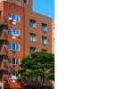 446 E 149TH Street 布朗士 Mott Haven, NY