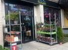 107-07 Northern Boulevard 可乐娜 Corona, NY