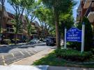 7111 Sutton Place #3 新鲜草原 Fresh Meadows, NY