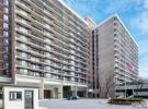 152-18 Union Turnpike #7 P 法拉盛 Flushing, NY