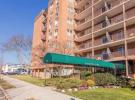 20 Wendall St #11 A 房源照片 1