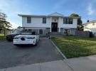 19 Jersey Street 长岛 Hicksville, NY