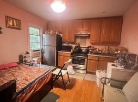 3322 Farragut Road #2 布鲁克林 Ditmas Park, NY