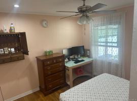 32 Terrace Place 长岛 Hicksville, NY