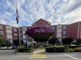 50 Merrick Avenue #226 长岛 East Meadow, NY