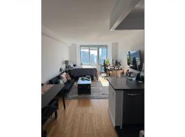 4545 CENTER Boulevard #3714 长岛城 Hunters Point, NY