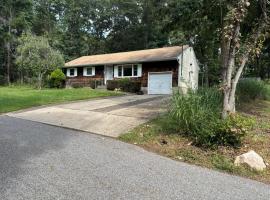 219 Shafter Street 东长岛 Islandia, NY