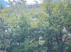 528 50th Street 布鲁克林 Sunset Park, NY