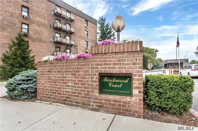 #1 photo, 3 Birchwood Court, Mineola , NY 11501