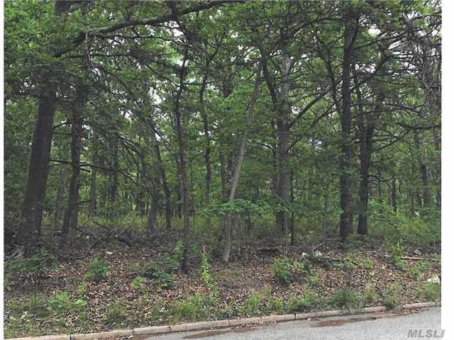 #1 photo, V/L Campbell Drive, サフォーク郡 Mastic , NY 11950